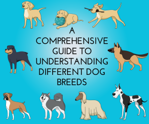 A Comprehensive Guide to Understanding Different Dog Breeds